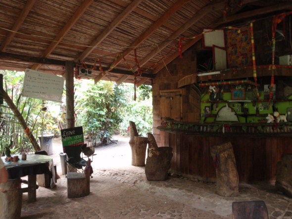 The Bar in the Jungle with a chicken only 