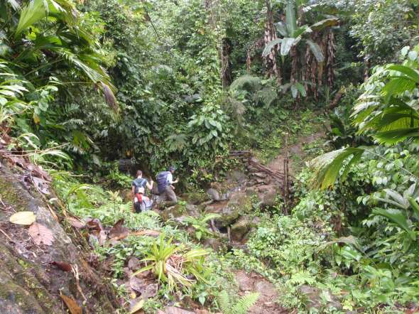The group hiking along the trail 