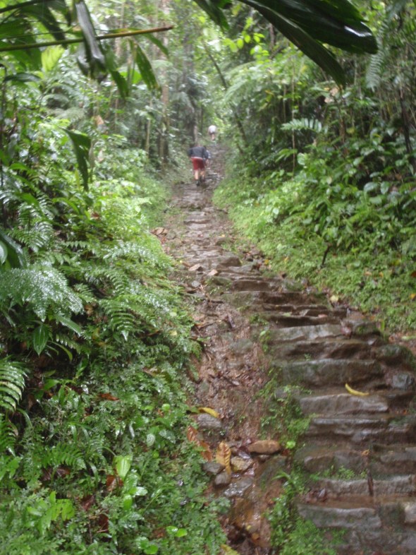 lots of Lost City Steps 
