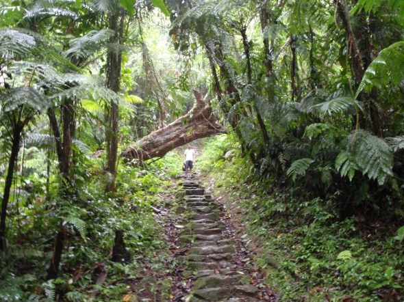 Climbing the very steep 1800 steps 