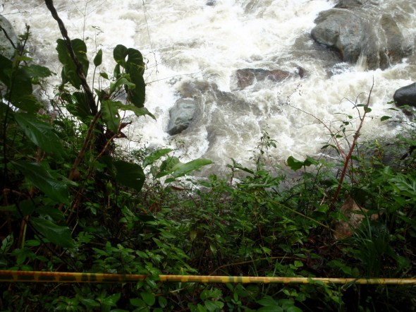 The River is crazy fast now 