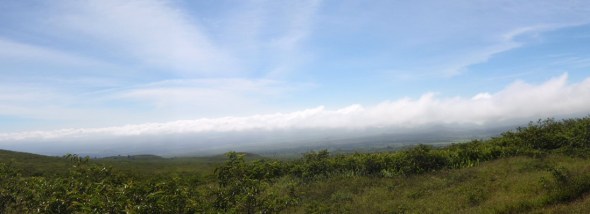 great view of Isabella Island, Galapagos  