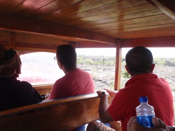 We rode in this little truck with a homemade benches bolted to the frame. 