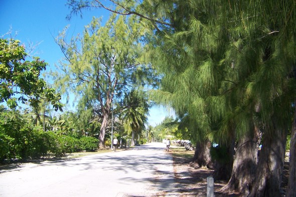 Biking down the Island road