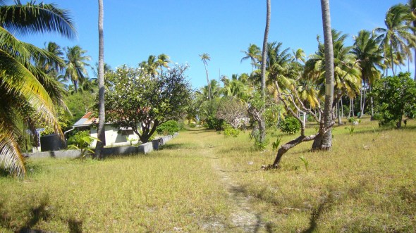 Ok this is looking from the lagoon side of Fakarave to the Pacific ocean which as you can see is not far away. 