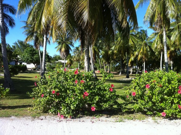 We road bikes up and down the strip of land and took a few photos of the landscape. 