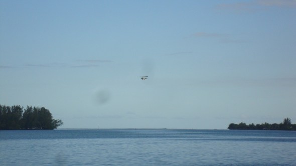 Dam thing got off the water