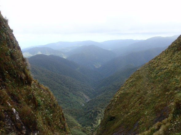 Looking out off the ladder top 