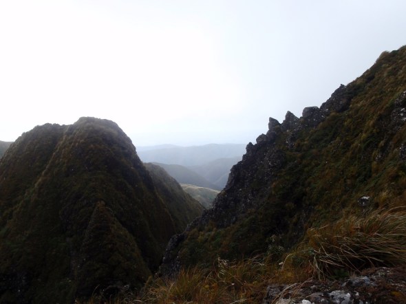 The trial was now like walking a razor line of rock with nothing to fall onto but air right or left. Good Times 