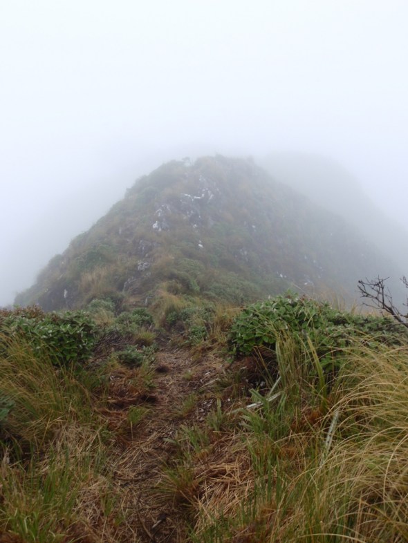 Fog began to boil up out of the valleys and spill over the tops of the range like milk from a carton 