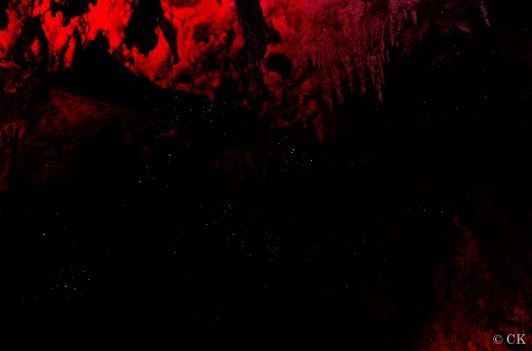 NZ_WaipuiCaves_4.20.14-03