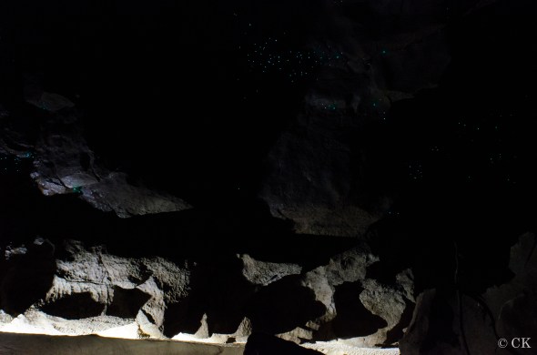 NZ_WaipuiCaves_4.20.14-05