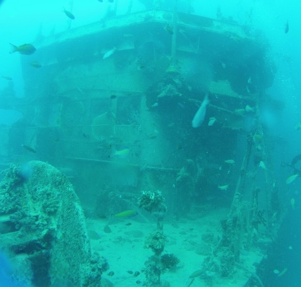 Ok so now on another dive that same day we dove on on this 200 foot processing fish boat that was sunk by the French Navy, I guess the French Navy get bored and blows stuff up!