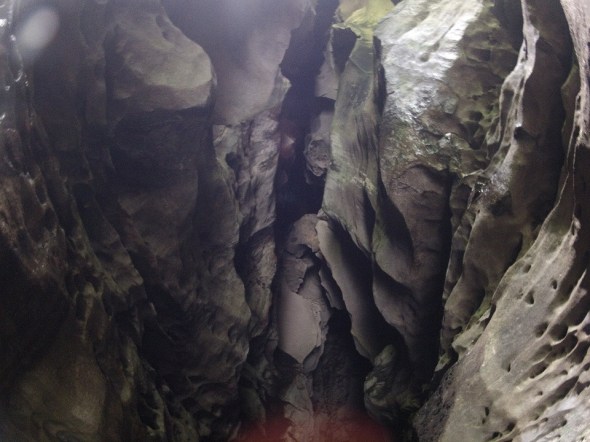The cave ceiling was very high and covered in bats. The rocks below were covered in bat poo! 