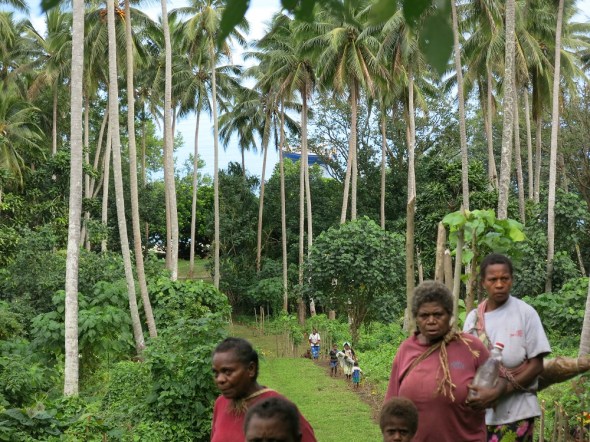 Looking back down the high on our way to the land diving tower. You can see DRAGONSBANE anchored right off the beach. 