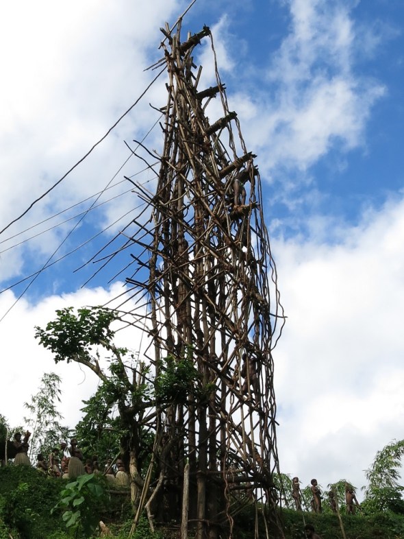 The Tower is roughly 35 meters high. Constructed out of trees and lashed together with vines. 
