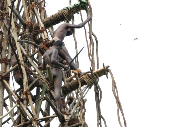 The jump master would tie the vines to the feet and make sure all was well before the jump.