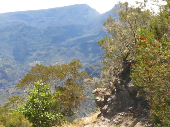Down the mountain side trail
