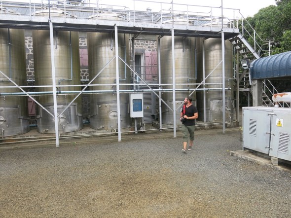 Had to stop at one of the sugar cane rum distilleries.
