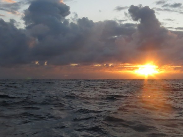 Its great to see the Sunrise in the morning .