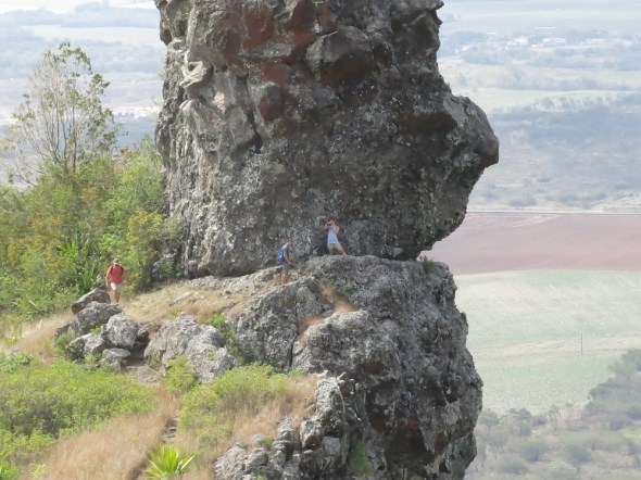 A little close up of the gang having fun.